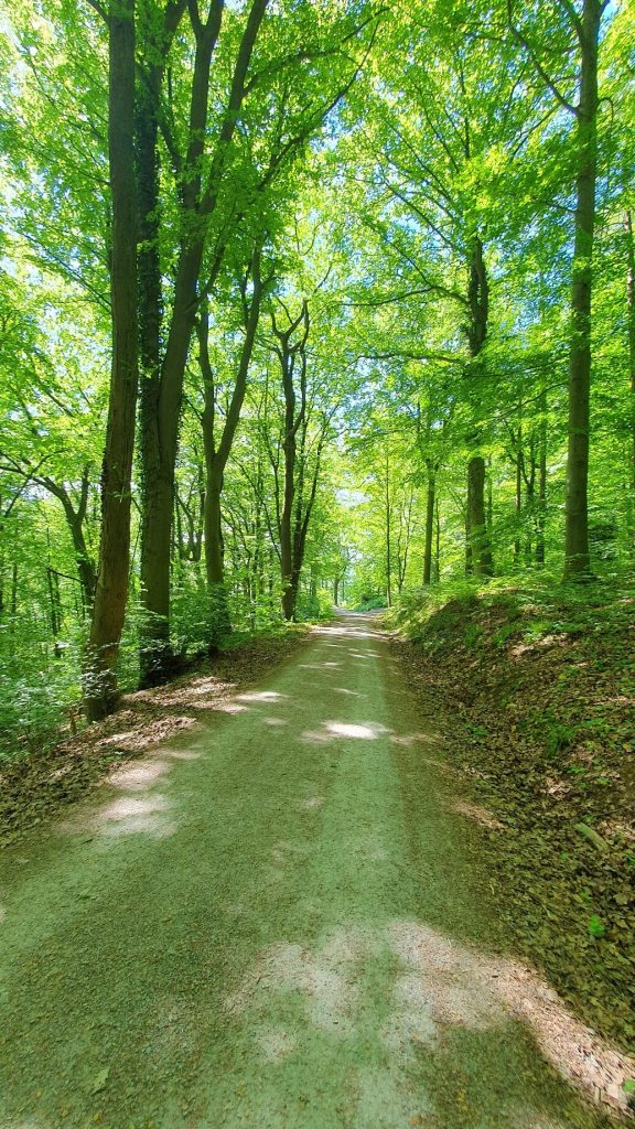 Wanderung durch die Natur