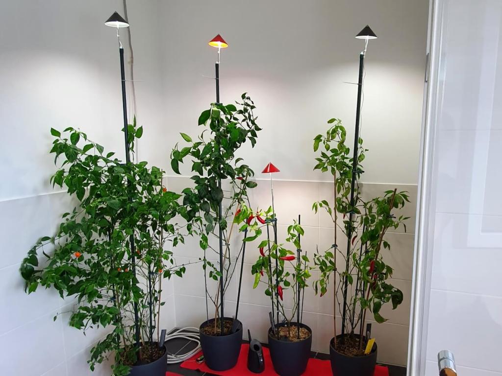 Tageslichtlampen von Parus
