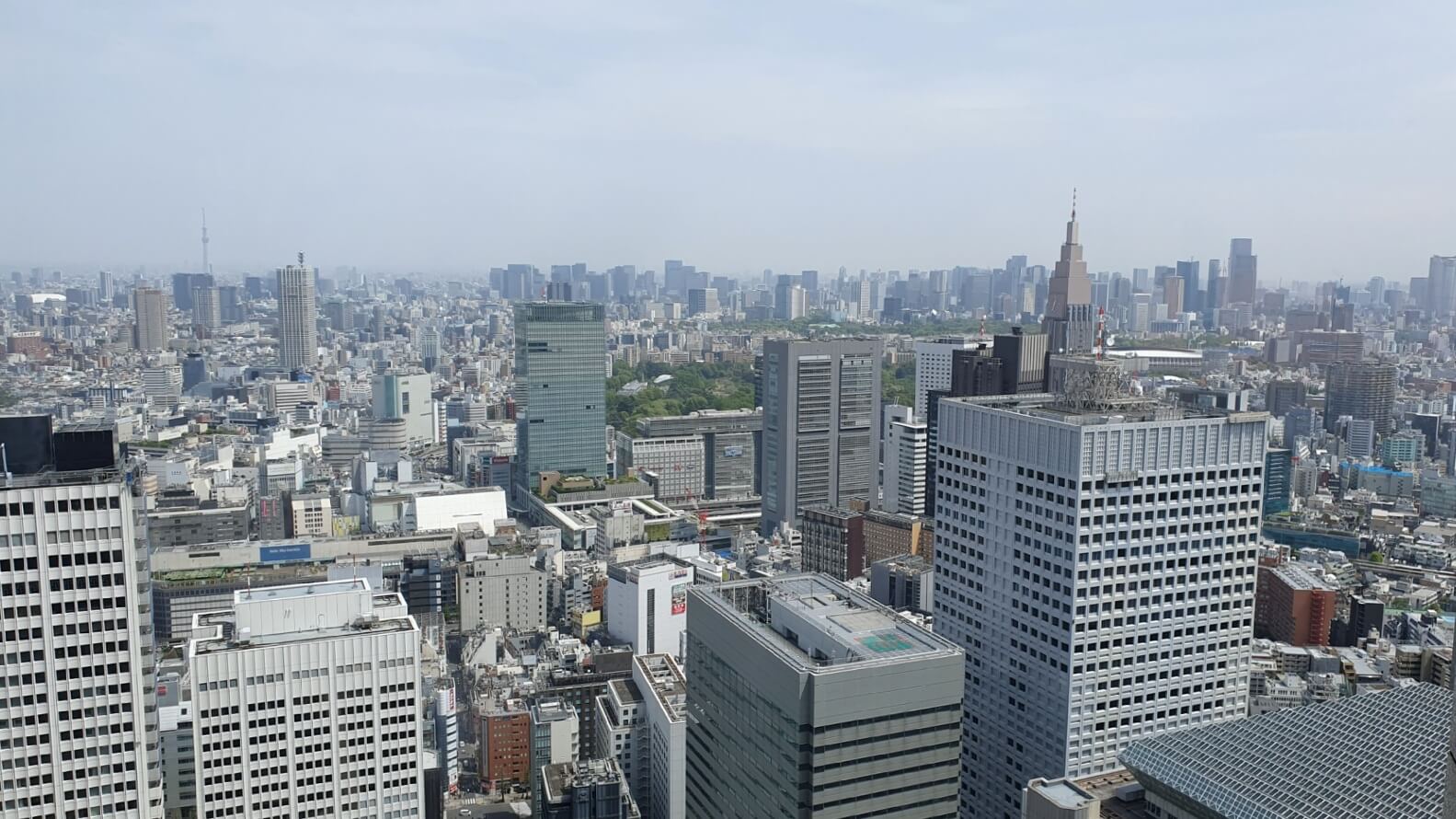 Ausblick vom Metropolitan Government Building