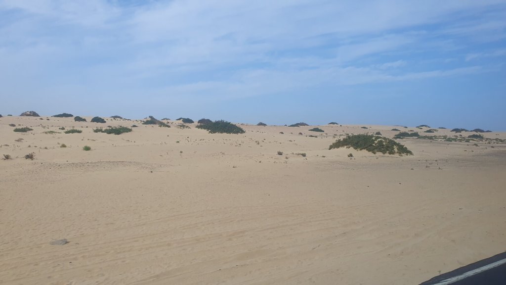 Blick auf die Dünen von Corralejo
