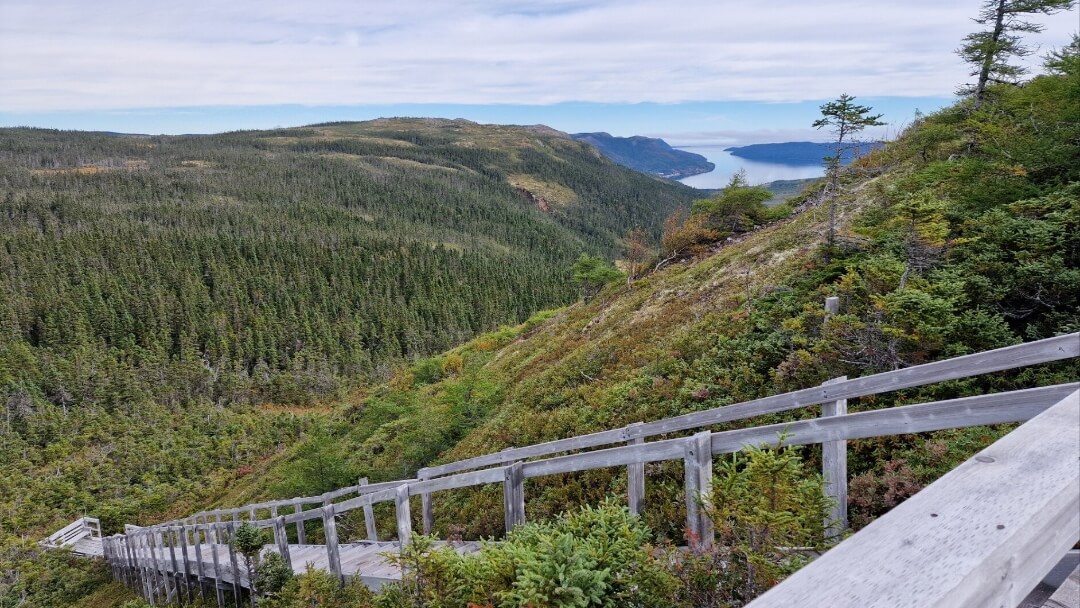 Alexander Murray Hiking Trail – Neufundland