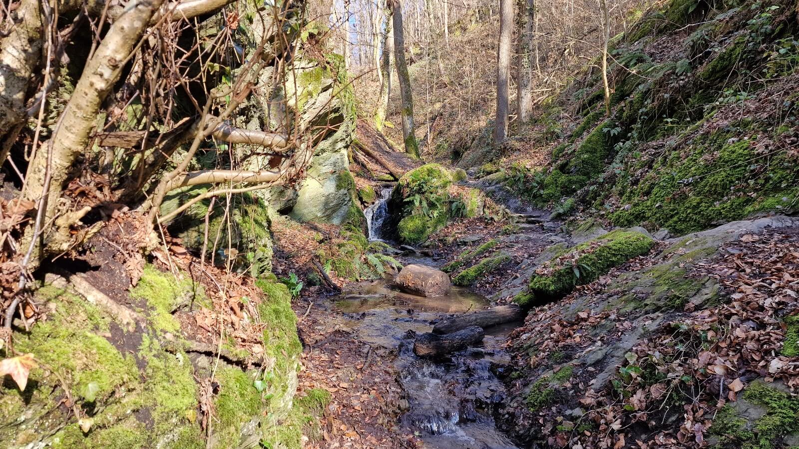 Ruppertsklamm bei Lahnstein – Wanderung