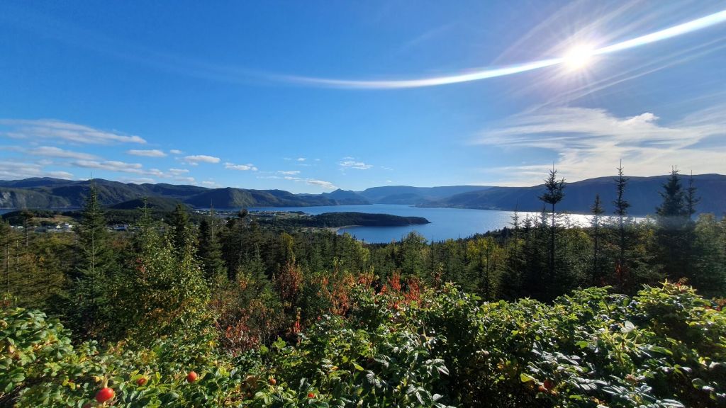 Janniex House in Norris Point