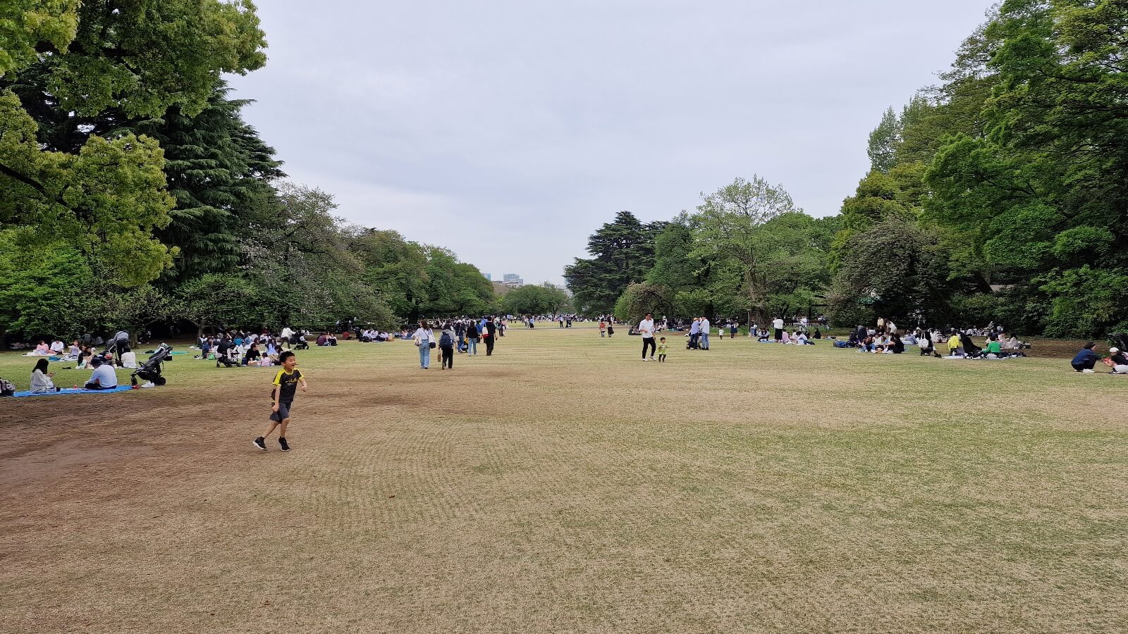 Der große Shinjuku Gyoen Park in Tokio