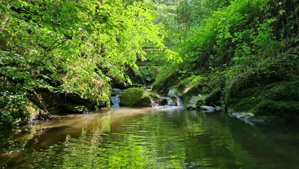 Traumschleife Ehrbachklamm - Traumhafte Natur