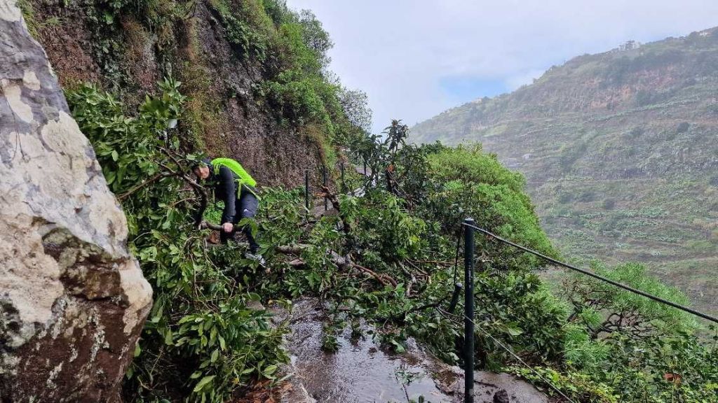 Hindernisse auf der Levada Moinho durch umgestürzte Bäume