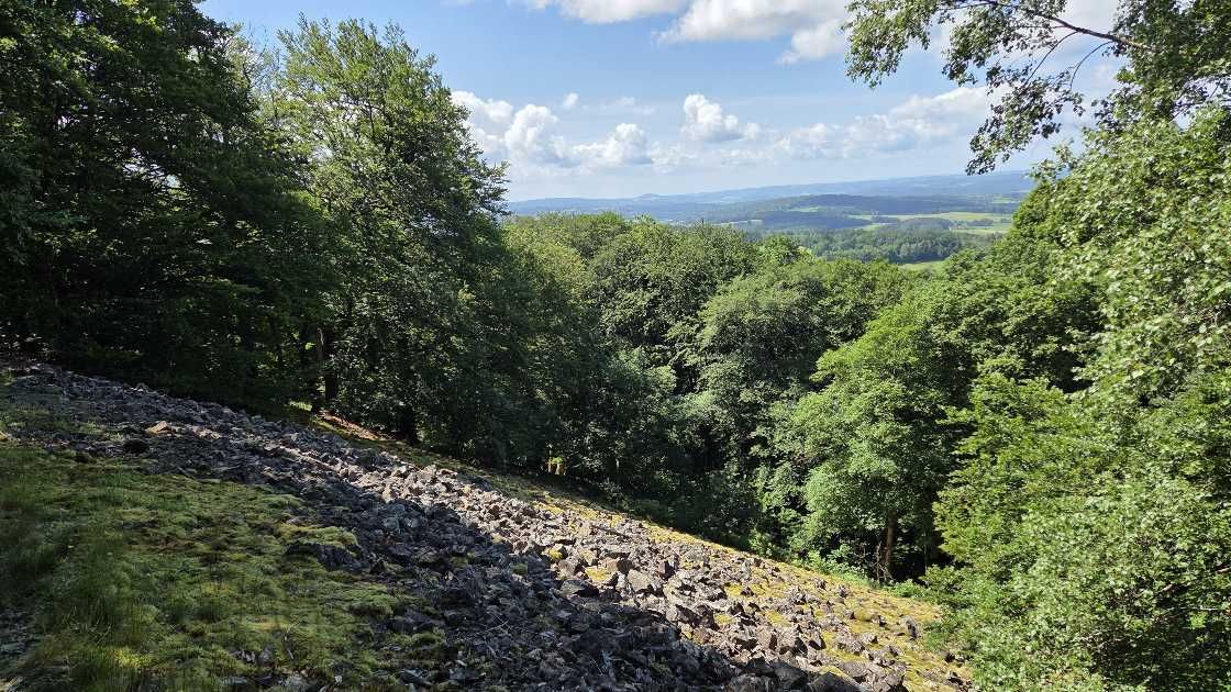 Aussicht vom Stellberg über die Rhön