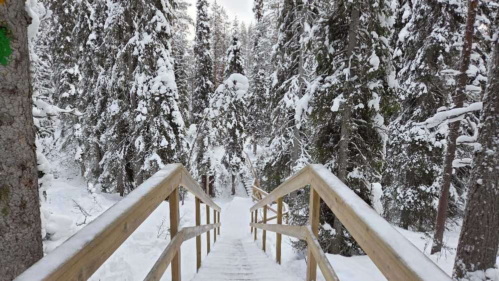 Steile, vereiste Treppen auf der Kleinen Bärenrunde im Winter