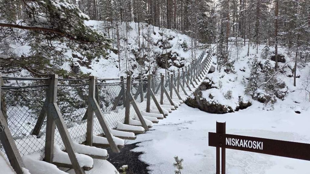 Hängebrücke auf der Kleinen Bärenrunde im Oulanka-Nationalpark