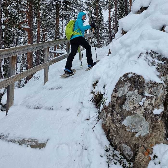 Zugeschneite Treppen auf dem Wanderweg im Oulanka-Nationalpark