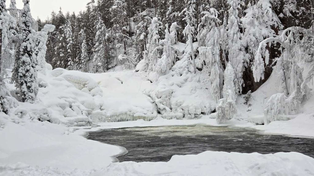 Wasser zwischen Eis und Schnee im winterlichen Oulanka-Nationalpark