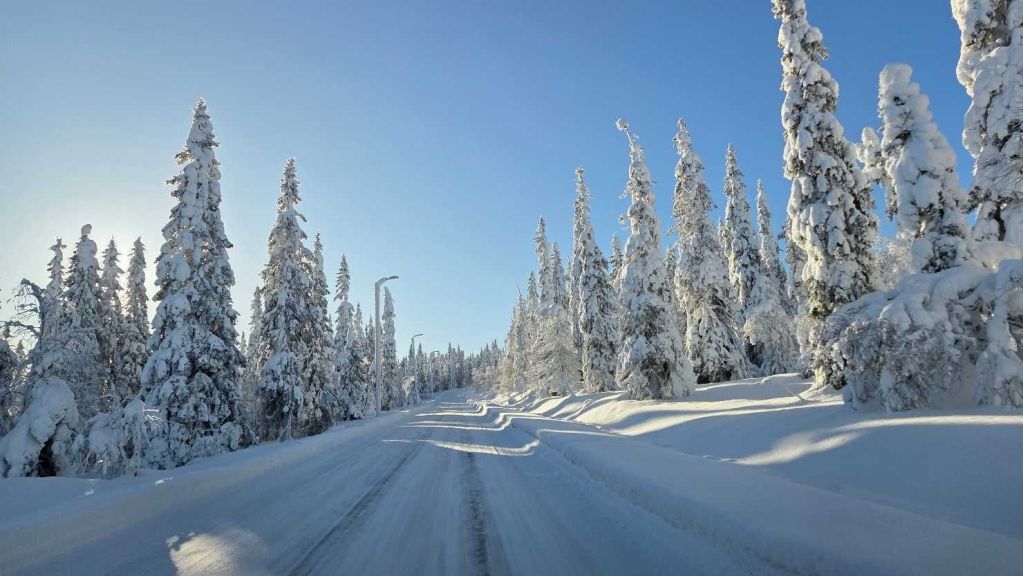 Der Weg durch den Syöte Nationalpark in Finnland