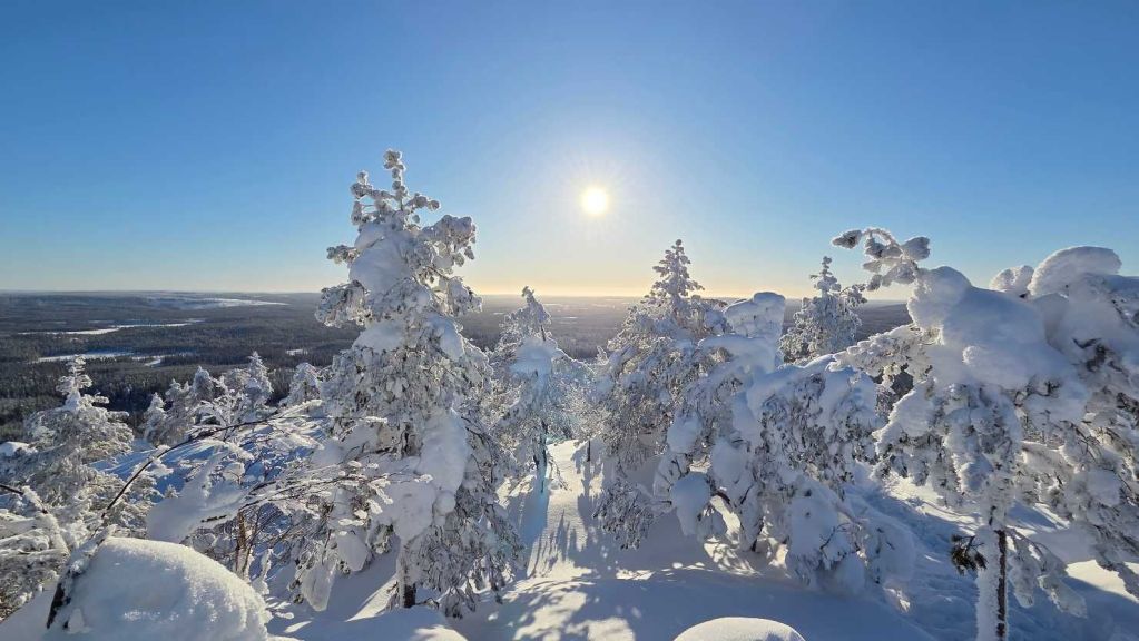 Verschneiter Wald im Syöte Nationalpark bei blauem Himmel und Sonnenschein